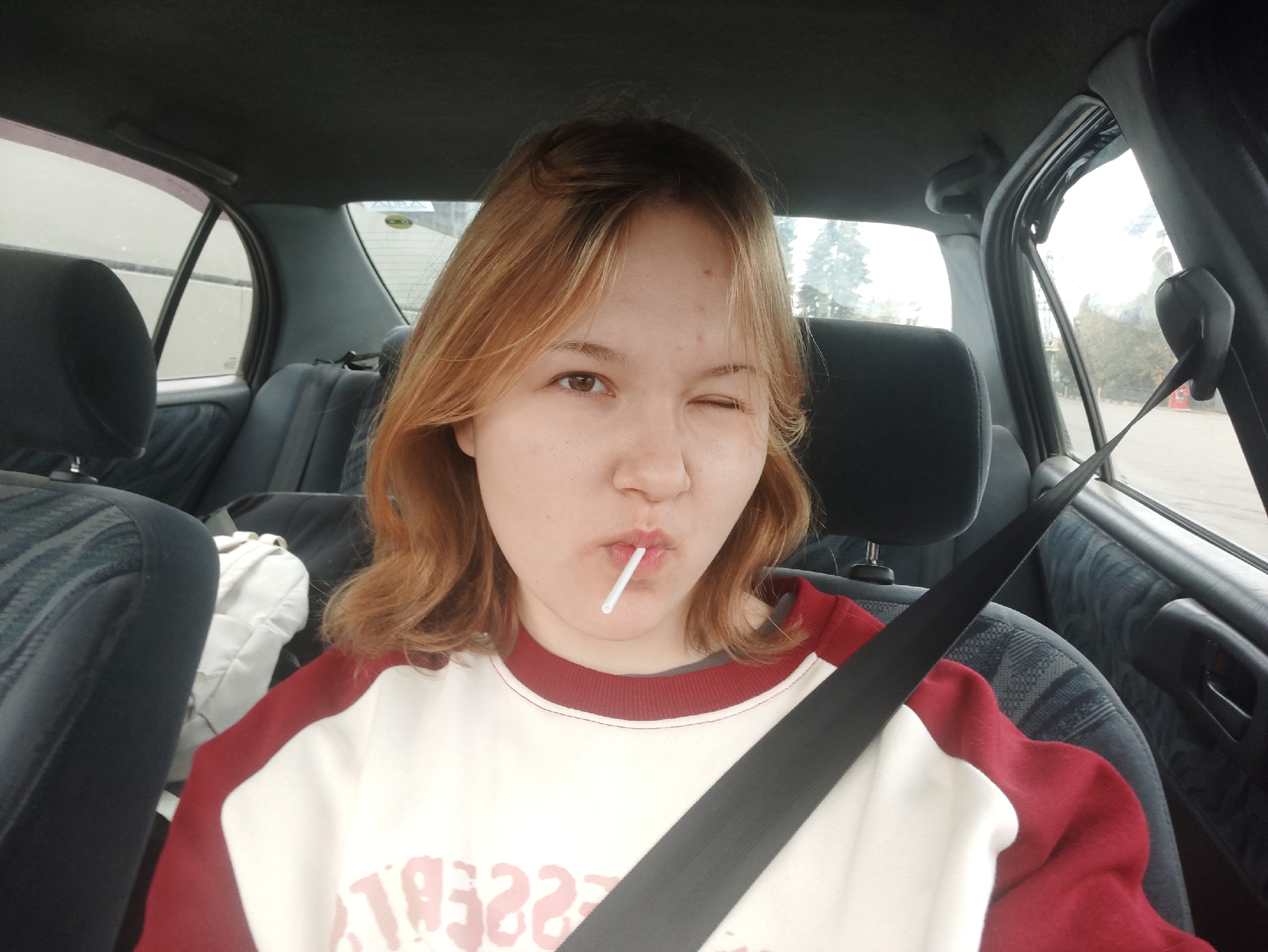 Dashok